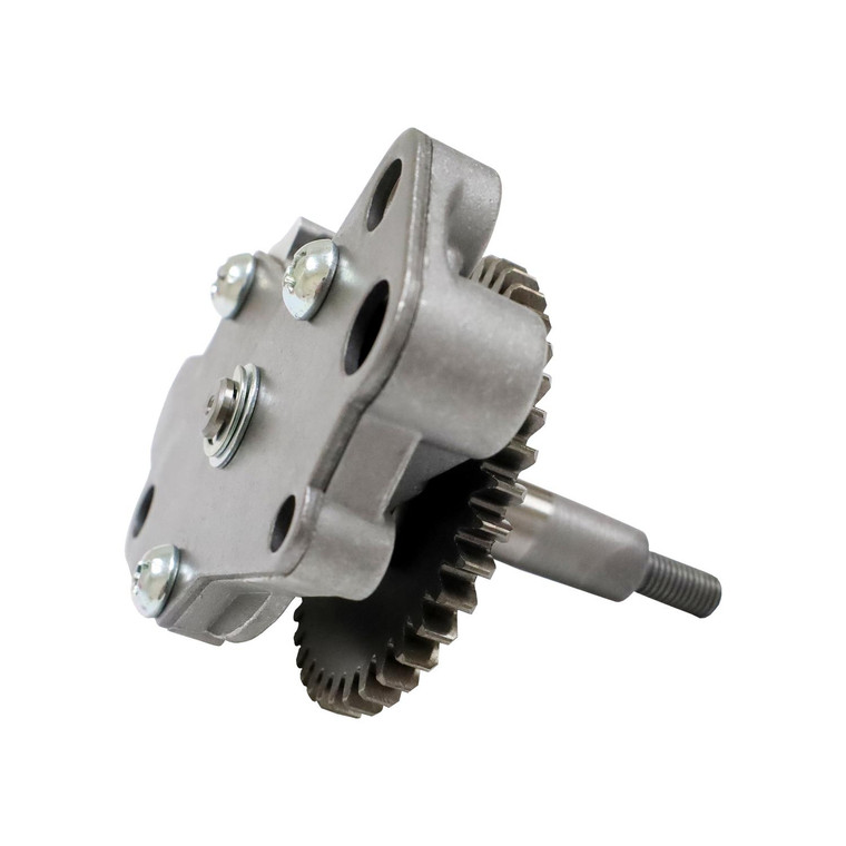 Bomba Aceite Italika Vort-X 300 (17-24)