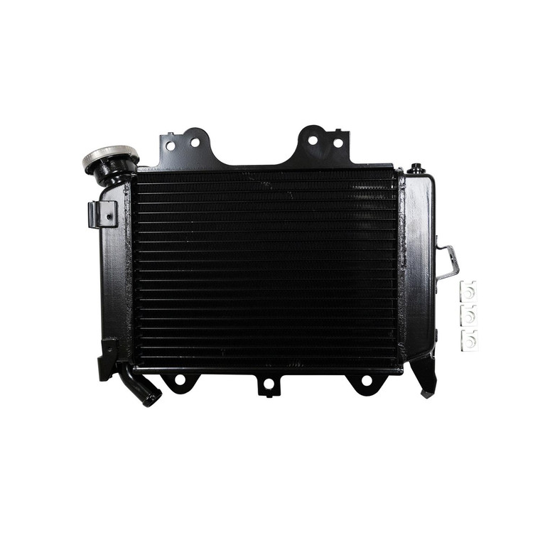 Radiador Completo Bajaj Pulsar Ns 200 (12-24)