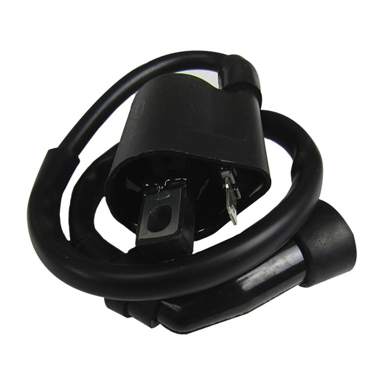 Bobina Enc Ext Yamaha Ybr 125 C Express (15-19) 12V