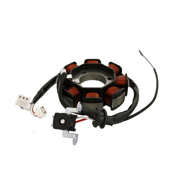 Inducido 8 Bobinas Yamaha Ybr 125 Zr (16-19) (Wstd) 3-24A