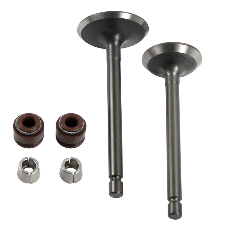 Valvula Adm/Esc Set Yamaha Ybr 125 C Express (16-19) (Wstd)