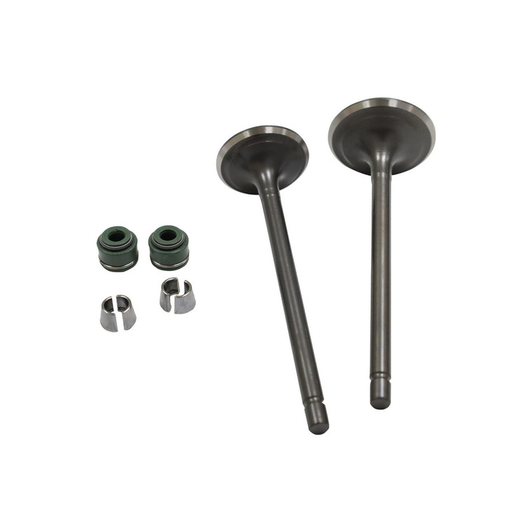 Valvulas Adm/Esc Set Vento Crossmax 250 (20-21) (Wstd)