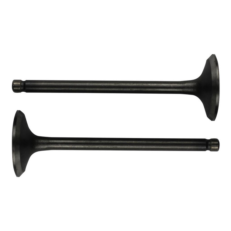 Valvula Admision/Escape Set Hn Cb1 110 (15-19)