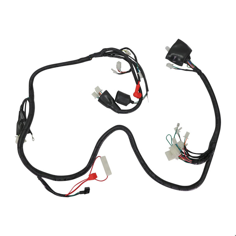 Arnes Electrico It Vitalia 150 (20-21)