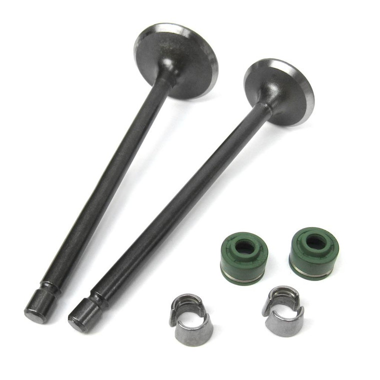 Valvula Adm/Esc C/Sellos/Candados Set Italika 125 Z (16-19)