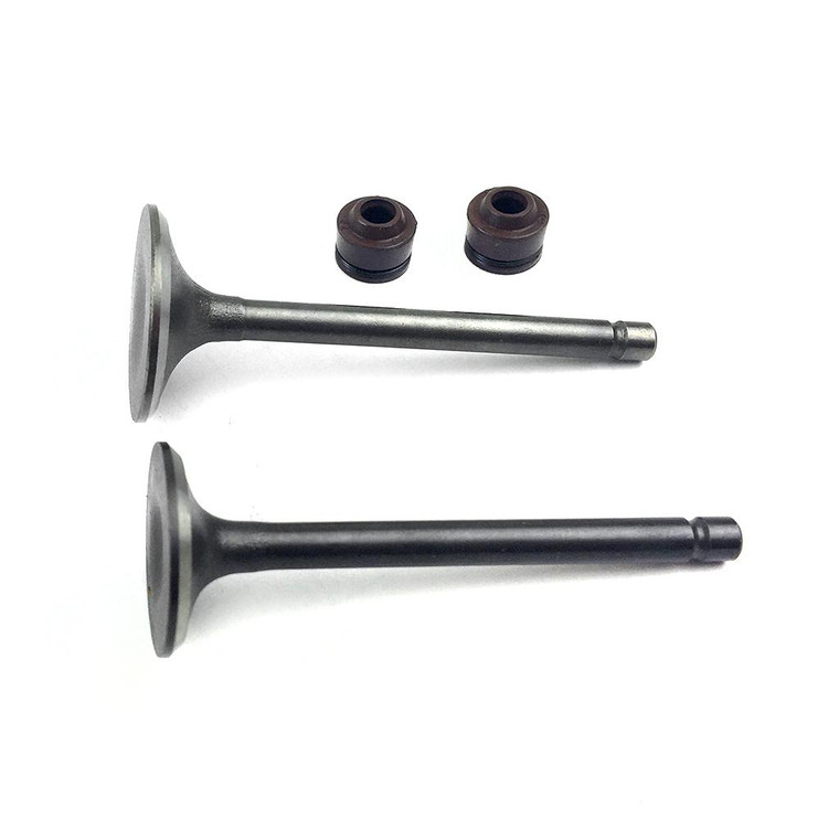 Valvula Admision/Escape Set Yh Ybr 125 Zr (16-19)