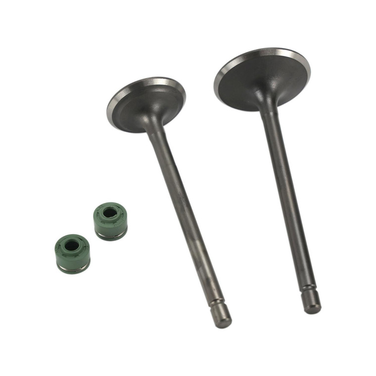 Valvula Admision/Escape Set It Dm 250 (20-22)