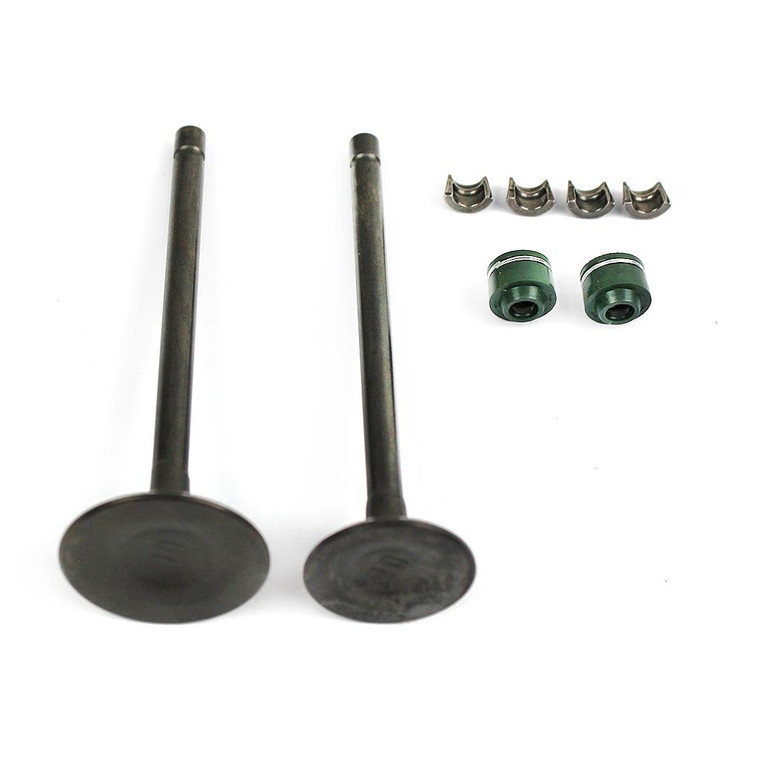 Valvula Adm/Esc Set Italika Ft 180 Led (13-18)