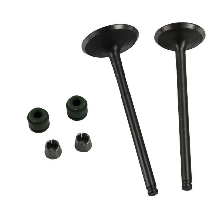 Valvula Admision/Escape Set Hn Gl 150 Cargo (14-19) (Wstd)