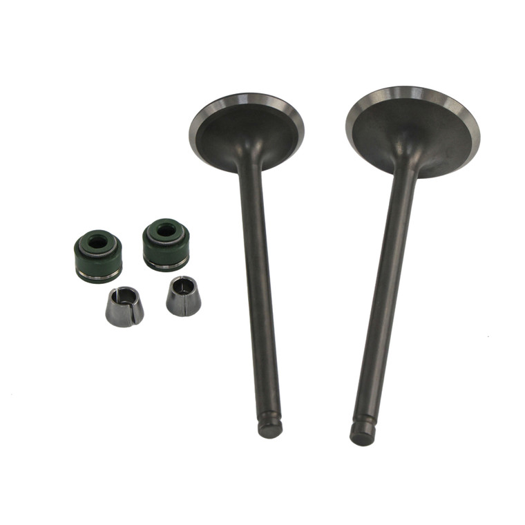 VALVULA ADMISION/ESCAPE SET VENTO SCREAMER 300 (25)