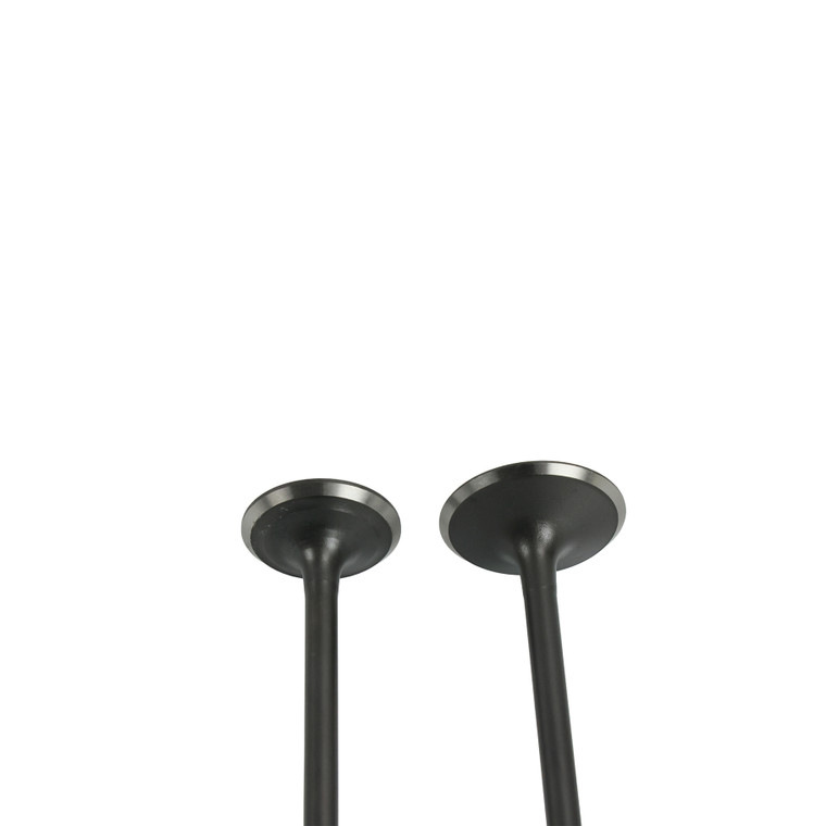 VALVULAS ADMISION/ ESCAPE SET PARA IT DM 300(25)MARCA WSTD