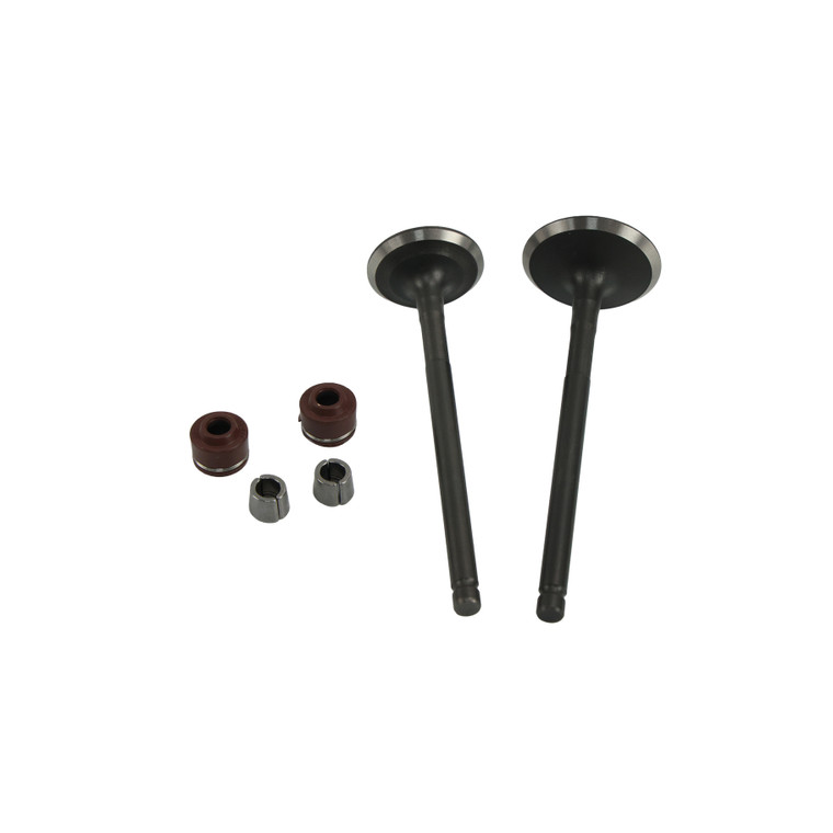 VALVULA ADMISION/ESCAPE SET PARA IT ATV 180(16-24)MARCA RODA