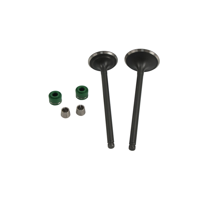 VALVULA ADMISION/ESCAPE SET PARA IT FT 200(24-26)MARCA RODA