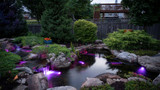 Choosing The Right Pump And Filter For Your Pond Size