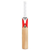 Woodworm Cricket Fireworm Performance Junior Cricket Bat