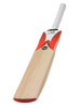 Woodworm Fireworm Flame Junior Cricket Bat