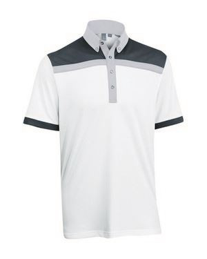 Ashworth Mens Blocked Polo