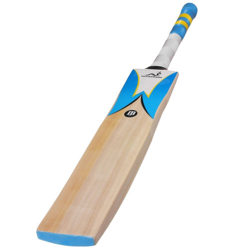 Woodworm Cricket IB 235+ Junior English Willow Cricket Bat