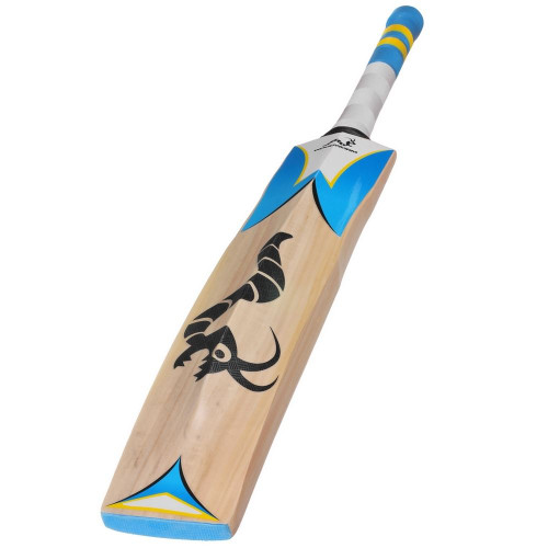 Woodworm Cricket IB 235+ Junior English Willow Cricket Bat