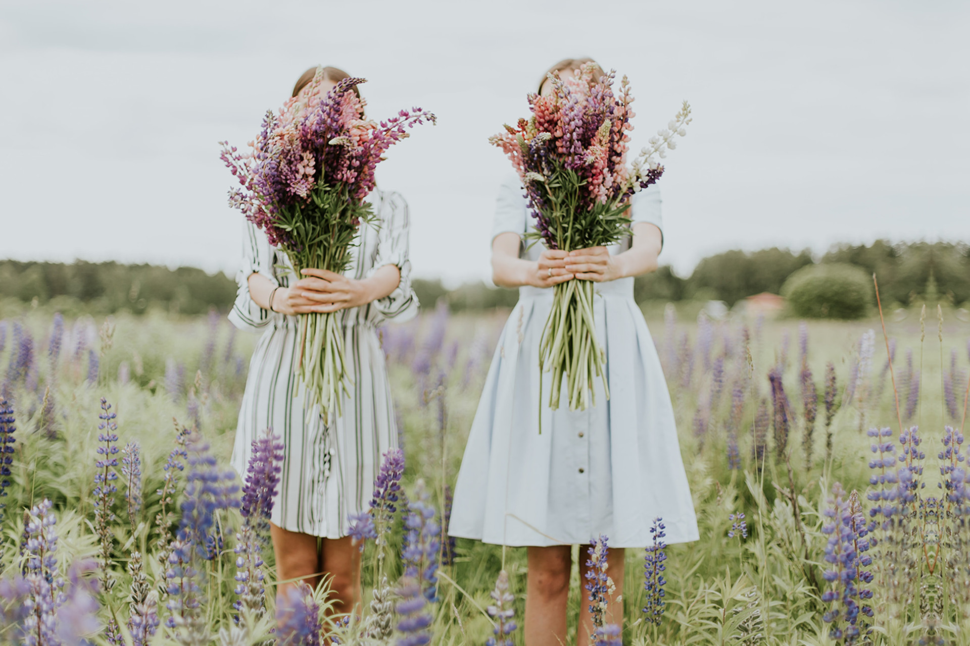 Bridesmaid Dresses