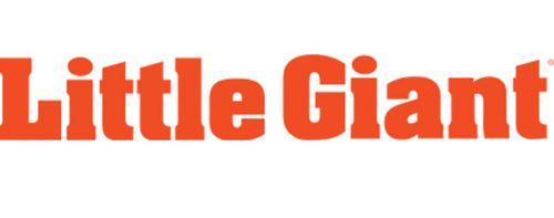 Little Giant