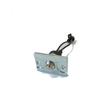 Hale #200-2450-01-0 Gearshift / Primer PV-763 Replacement Switch with Plate