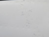 5027000-3 Cessna 421B Outboard Main Gear Door Assembly LH