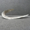 96-110010-15 Beech 58P Fillet RH Inboard (Worn Holes, Small Cracks)