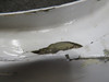0851119-14 Cessna 310P Nose Cap Assembly RH (Damaged Edges)