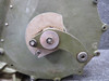 0894000-10 Cessna 310L Landing Gear Actuator Gearbox (Minus Motor)