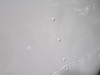 N8338YAR198-SO