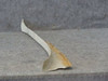 0511177-9 Cessna 172F Shield LH