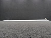 5534000-205 (Alt: 5534000-203) Cessna 500 Elevator Assembly LH