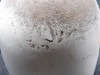 MO072425XF-37BS-OG