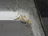 MO09082025EC-34MB