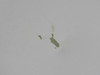 5534000-23 Cessna Citation 501 Elevator Assembly LH