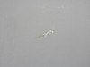 5512064-200 Cessna Citation 501 Tailcone Access Door Assembly