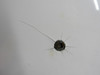 6213132-202 Cessna Citation III Model 650 Radome