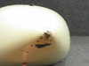 5013050-2 Cessna 411 Nose Cap Assembly