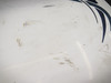 13380-003 Cirrus SR22 Wing Tip Assembly LH