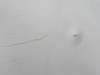 31755-006 Piper PA23-250 Engine Nose Cowling Set LH/RH