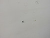 147A6116-18 Boeing 737-800 Aft Cabin Door Assembly LH