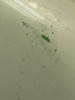 141A6516-14 Boeing 737-800 Forward Cabin Door Assembly RH