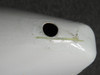 113A9100-2 Boeing 737-800 Number Two Flap Track Fairing