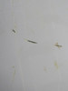 113A9100-6 Boeing 737-800 Number Six Flap Track Fairing