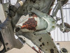 162A1100-5 (Alt: CIT-32-080-00-01) Boeing 737-800 Nose Landing Gear Assembly