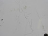 AN-KX041426AJ-36BS-AN