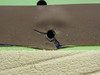 2611561-58 LearJet 31A Floorboard LH
