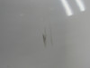 2625010-090 LearJet 31A Flap Assembly RH