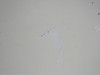 N912MF-KX042726ML-30JL